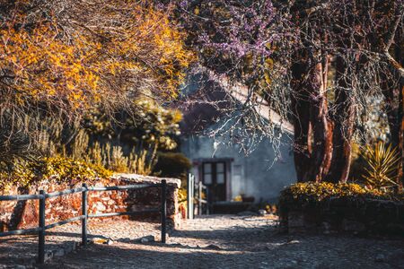 Beautiful autumn rural scenery with selective focus on a partly bared tree with purple flowers in the foreground and fences; an antique old house with a triangle roof in a defocused backgroundの写真素材