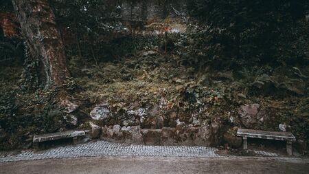Two antique mossy concrete benches in the shadow, on a paving-stone of a beautiful public park, with trees and different plants in the background, Sintra, Portugalの写真素材