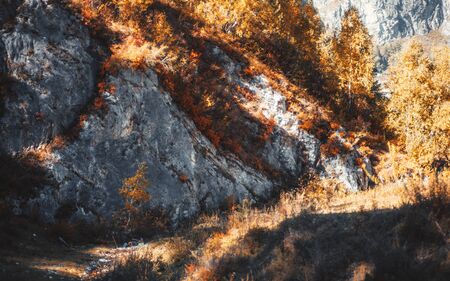 An amazing autumn mountain landscape with a rocky hollow overgrown with yellowed trees and native...