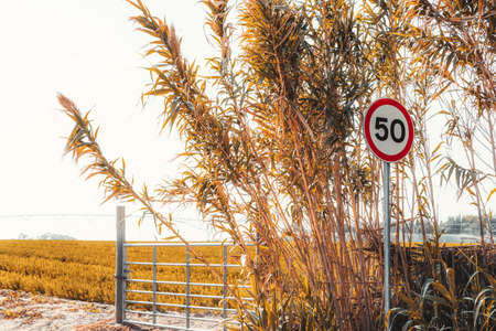 A colorful minimalistic shot with a red and white speed limit road sign 60 near the agricultural...