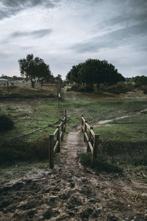 Vertical wide-angle evening landscape with a small wooden bridge over a ditch in a public park with a pathway going to the right and trampled sand in a defocused foreground, overcast skyscape aboveの写真素材