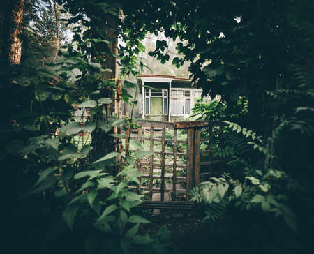 A dark mysterious wooden gate overgrown with ivy and other greenery of the entrance to a desolate summerhouse in a forest, with a glass veranda, green peeled door, and covered porch; warm eveningの写真素材