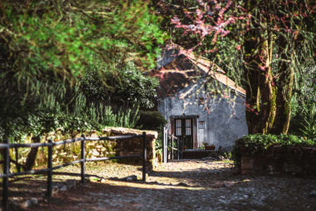 A tranquil rural scene with a shallow depth of field and a selective focus on an old stone house in...