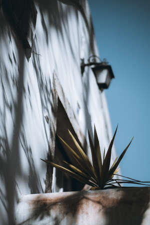 View from the bottom with a shallow depth of field and a selective focus on the part of the wall of a house elevation and a plant leaves on the stoop; a lantern on the facade in a defocused backgroundの写真素材