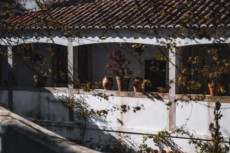 A facade of an old antique stone residential house lit by the bright afternoon sun with contrast a pattern of shadows of trees on a bright plaster facade andÂ clay flowerpots with plants on the verandaの写真素材