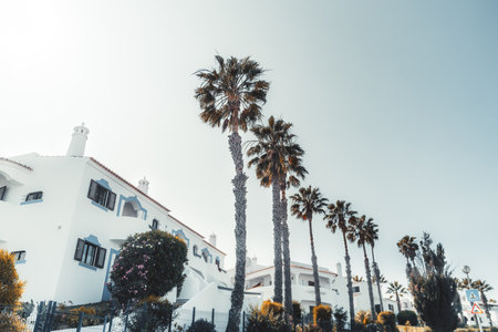 A wide-angle view from the bottom of a street of a resort city with a row of imperial palms in front of an evening sky with typical European guest houses and condominiums in the background, Carvoeiroの写真素材