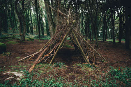 A huge shelter of twigs and branches on the clearing in a deep forest surrounded by trees and greenery, with a small pathway trace on the ground passing through it, Sintra, Portugalの写真素材