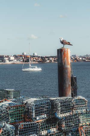 A vertical shot of a seagull sitting on a bollard in a fishing bay with many cages for catching the inhabitants of the seabed in the foreground and a white sailboat passing by in the backgroundの写真素材