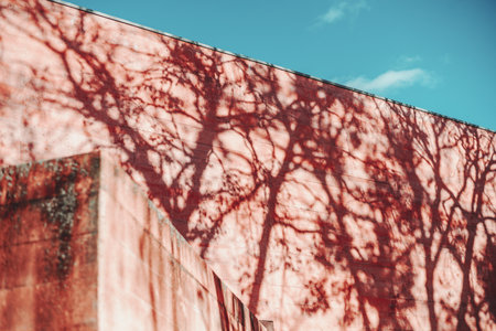 A concrete textured wall of a red building lit by the morning sun with graphical beautiful and...