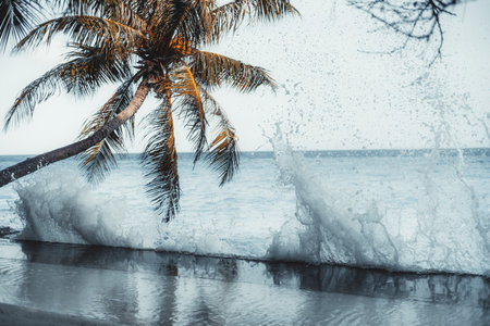 View of a coastline of a luxury Maldives resort with a selective focus on the waves crashing on the concrete pier and making huge water splashes; a palm tree and a seascape in a defocused backgroundの写真素材