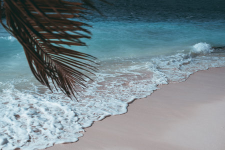 View of the sea foam in the Maldives due to sea turmoil. Capturing the gradient in the color of the seawater, in tones of blue, contrasting with the sandy beach and a palm leaf in the foregroundの写真素材
