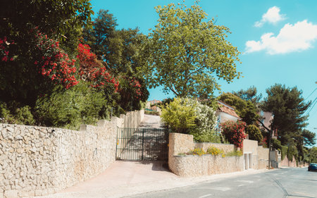 A bright, sunny day in Estoril, an entrance to a villa from across the street, with a sandstone wall, a green gate, and vibrant blooming plants and trees, all set against the blue skyの写真素材