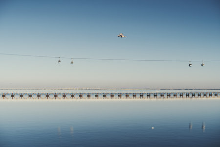 Against the blue sky, the shimmering waters of the river take center stage, with an iconic bridge and cable cars gracefully adorning the back. A pigeon mid fly adds a touch of liveliness to the sceneの写真素材