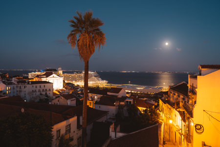 Low-key view of a massive cruise ship in the background over Lisbon's dockside, a tall palm tree in selective focus stands gracefully in the foreground, adding depth and serenity to the urban sceneの写真素材