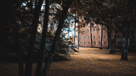 View of a house with a regular pattern of windows in a shadow of a mysterious tropical park with a yellowed lawn and different plants, trees in a defocused foreground; selective focus on a backgroundの写真素材