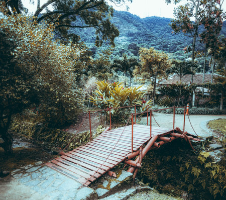 A square frame captures an arched metal bridge over a tranquil brook, nestled amidst lush rainforest-covered hills. A charming tiled-roof house graces the scene in the backgroundの写真素材