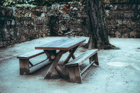 An inviting wooden picnic table nestled under a tree's shade in a serene botanical garden, offering a quiet retreat within natural surroundingsの写真素材