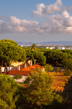 Vertical shot of Almada with lush green trees and traditional houses with red tile roofs. The distant cityscape and mountains under a blue sky with fluffy clouds complete the serene sunset landscapeの写真素材