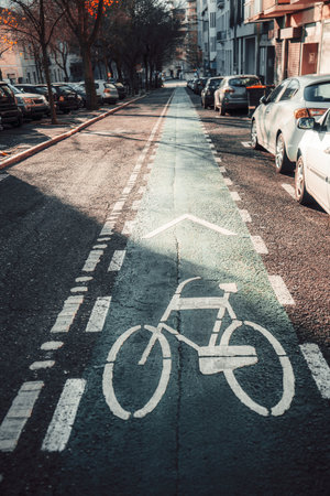 Vertical shot of a bicycle lane marked with white bicycle symbols and arrows, lined by parked cars and trees, under the soft morning sunlight. Urban cycling infrastructureの写真素材