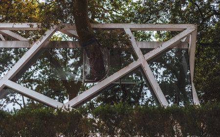A large tree is integrated into modern architecture, with branches extending through a steel and...