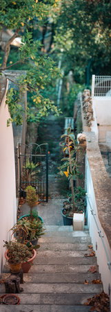 A vertical panorama of a stone staircase with potted plants and dried leaves leads to a small iron gate and a narrow garden path. A white wall and tree foliage add to the rustic, tranquil feelの写真素材