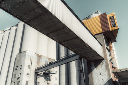 Wide-angle shot of a modern industrial facility with large cylindrical grain silos, a weathered...
