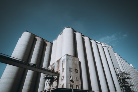 A large industrial grain silo facility with multiple tall, cylindrical concrete storage units under a clear blue sky. The structure includes metal scaffolding, pipelines, and a walkwayの写真素材