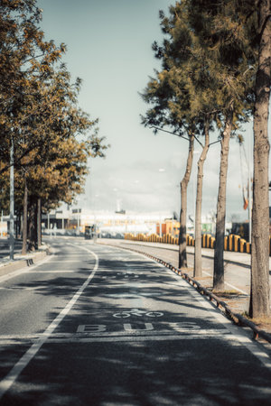 Empty urban road with marked bike lane, bus lane sign, tree shadows, streetlights, sidewalk, industrial buildings, containers and cloudy sky background. Vertical orientation photoの写真素材
