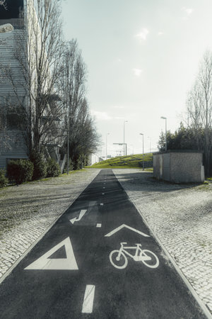 Straight bike lane with white bicycle sign and road markings, surrounded by cobblestone sidewalks,...