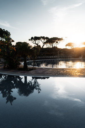 Tranquil resort swimming pool at sunrise with tropical palm trees, empty lounge chairs, and golden sunlight reflecting on the water, creating a peaceful summer vacation sceneの写真素材