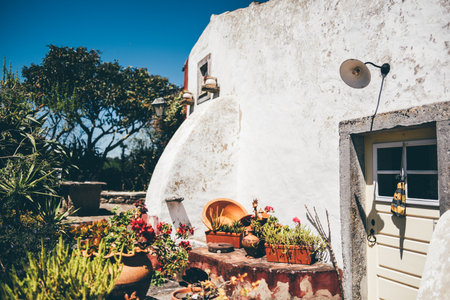 Sunny rustic courtyard with whitewashed curved wall, stone-framed door, and a charming arrangement of terracotta pots filled with colorful flowers and succulents under a deep blue skyの写真素材