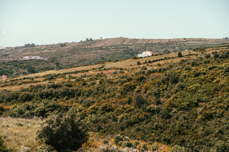 Expansive countryside landscape with rolling green hills, a single white farmhouse, blooming spring vegetation, and distant rural structures under a clear sky, evoking peace and natural beautyの写真素材