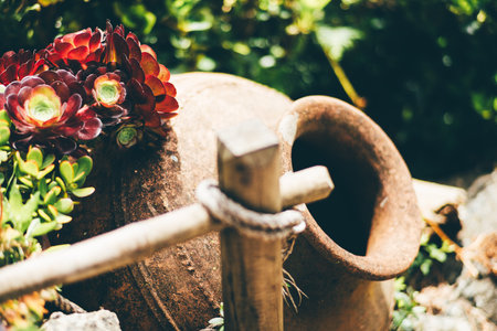 Rustic terracotta clay pot lying on its side amidst vibrant succulent plants, including dark red and green rosettes, captured in bright sunlight with shallow depth of field for a soft, dreamy focusの写真素材