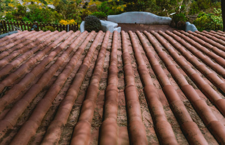 Close-up view of traditional terracotta roof tiles arranged in neat rows, slightly weathered with moss and dry leaves, surrounded by lush green nature, perfect for building material themes; wide-angleの写真素材