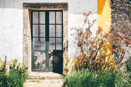 Vintage weathered green wooden door with peeling paint, set in a rustic stone frame on an old white wall with a bold yellow accent and red flowering bush casting shadows in sunlightの写真素材