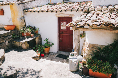 Charming rustic house entrance in Aldeia da Mata Pequena, featuring a red wooden door, clay roof tiles, stone steps, and potted plants in bright sunlight evoking traditional countryside lifeの写真素材
