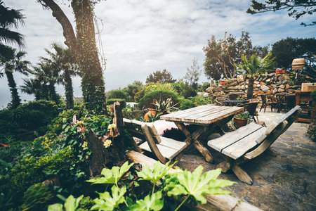 Cozy outdoor seating area with rustic wooden tables and benches surrounded by lush greenery, palm trees, and stone walls under a cloudy sky. Wide-angle view captures natural charmの写真素材