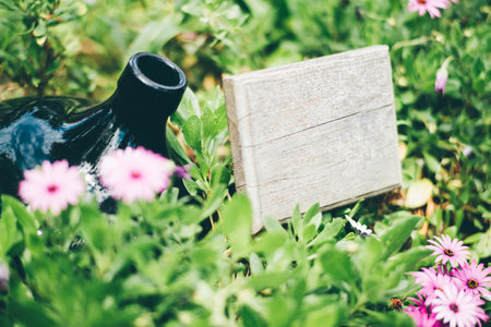 Blank wooden signboard mock-up placed in a lush green garden among blooming pink daisies and...