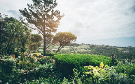 Lush botanical garden filled with exotic plants and palm trees, overlooking a sunlit green valley and rolling hills under a cloudy sky, evoking serenity and natural beautyの写真素材