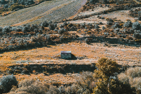 Telephoto view of a solitary small abandoned stone hut with a rusty roof, surrounded by golden dry grass and rolling farmland fields, evoking isolation and rural tranquilityの写真素材