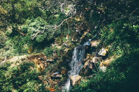 Small natural waterfall cascading over mossy rocks in a lush forest near Sintra, Portugal. Sunlight...