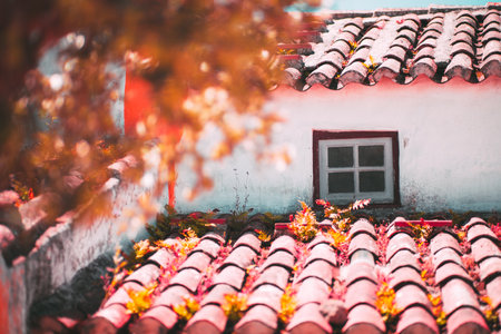 Close-up view of a rustic clay tile roof with scattered plants growing between the tiles, a small window framed in red, and warm autumn foliage bokeh providing a natural copy space areaの写真素材