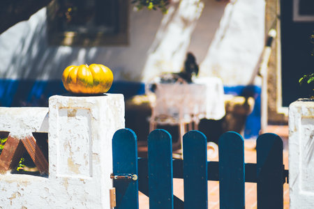 Bright yellow pumpkin on a weathered white pillar next to a blue wooden gate, with a sunlit patio...