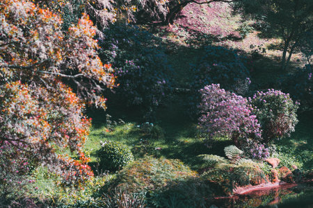Lush botanical garden in Sintra, Portugal, featuring vibrant rhododendron bushes in bloom, colorful foliage, and soft sunlight casting dappled shadows across the peaceful landscapeの写真素材