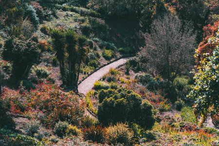 Curving garden path winding through vibrant landscaped vegetation in Sintra, Portugal, surrounded by diverse plants, tropical trees, and colorful seasonal foliage in warm natural lightの写真素材