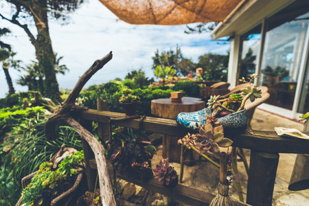 Creative outdoor patio scene with selective focus on a painted ceramic shoe repurposed as a succulent planter, surrounded by rustic wooden furniture and lush greenery under a sunny skyの写真素材