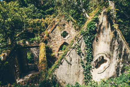 Ancient ruins overgrown with ivy and moss, featuring Gothic-style stone arches and unique circular windows, nestled in the lush, green forest landscape of Sintra under bright sunlightの写真素材