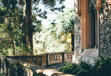 Ornate stone terrace of a historic building surrounded by lush green forest, arched window columns, and decorative railings, bathed in warm filtered sunlight in a serene settingの写真素材