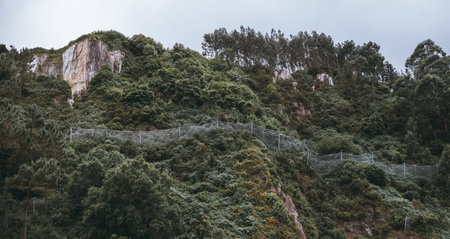 Rockfall protection netting installed on a steep, forested hillside to prevent landslides and falling debris, surrounded by dense green vegetation and rugged natural landscape under cloudy skyの写真素材