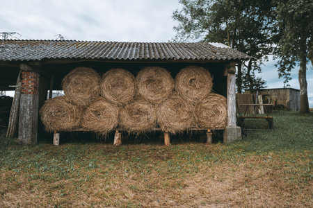 Rustic open-sided barn stacked with round hay bales under a corrugated roof, set on a grassy field...